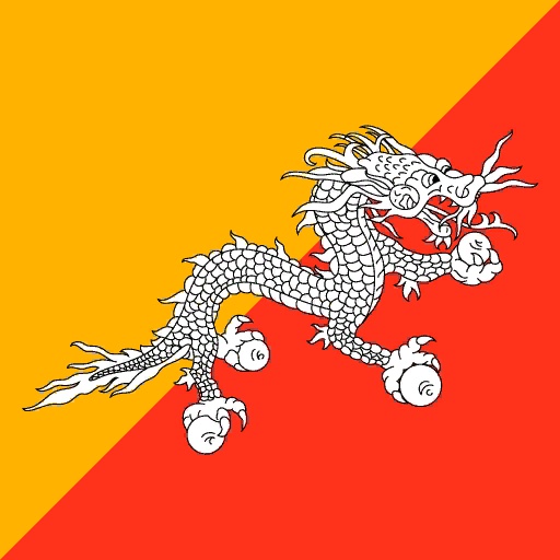 BHU flag