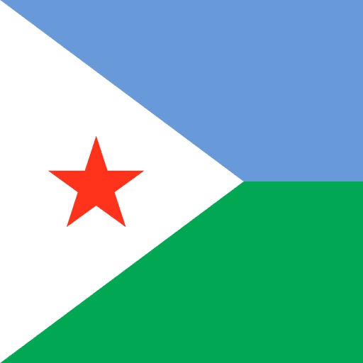 DJI flag