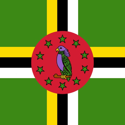 DMA flag