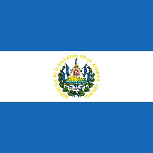 ESA flag
