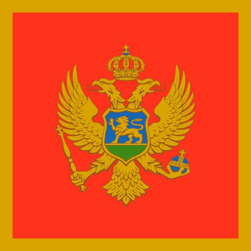 MNE flag