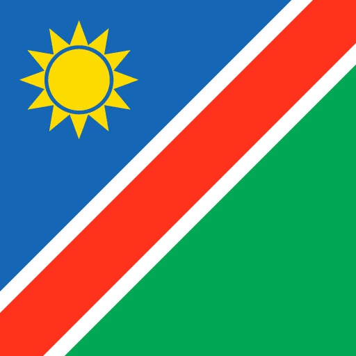 NAM flag