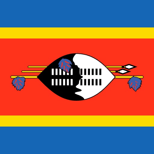 SWZ flag