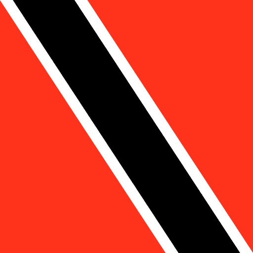 TTO flag