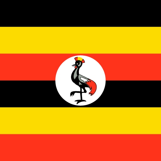 UGA flag