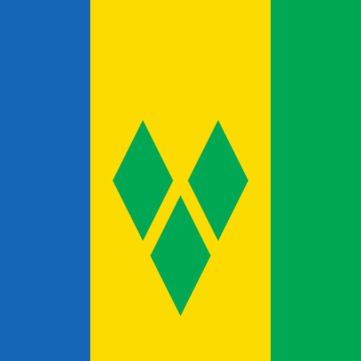 VIN flag